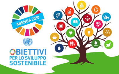 Cosa prevede la Transizione Ecologica?