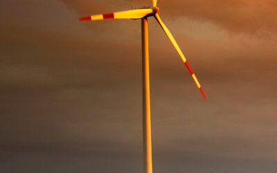 Cosa si intende per Transizione Ecologica?